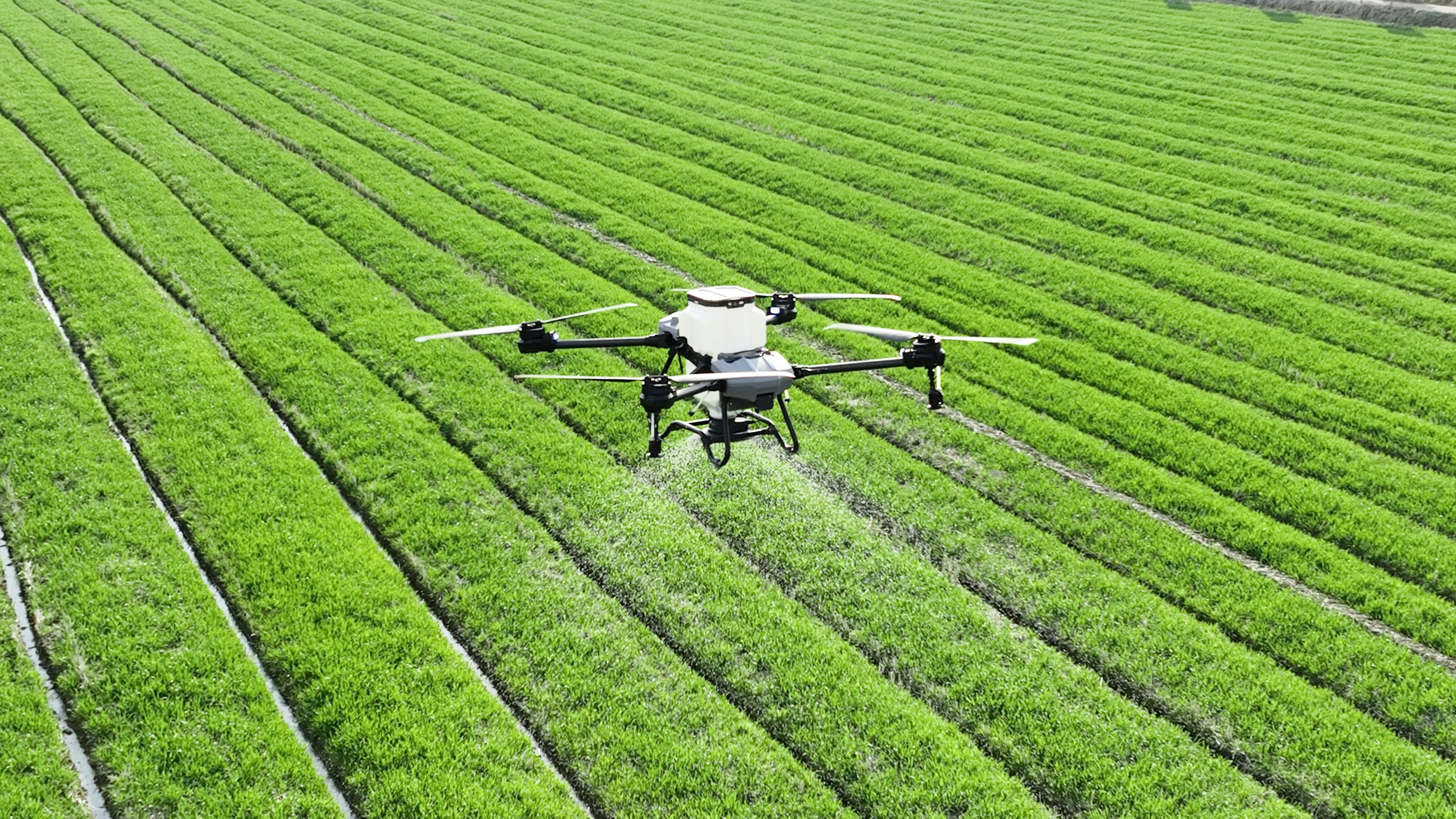 Agriculture Automation